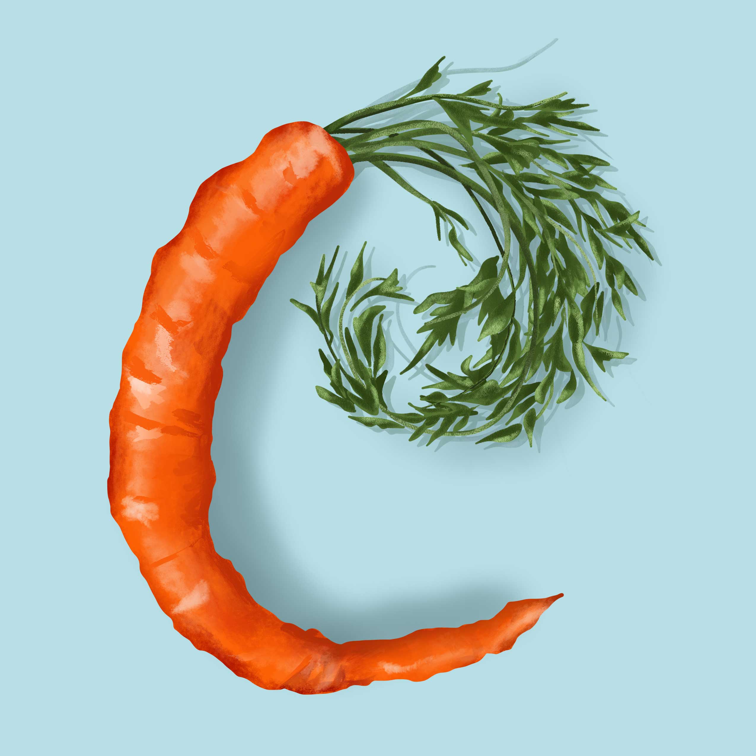 Carrot
